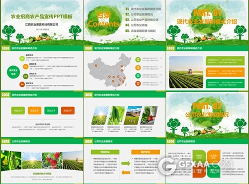 农业招商农产品宣传PPT模板 - 顶尖PPT