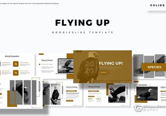 30页金雕老鹰图片展示禽类动物知识介绍Google slides模板 - 顶尖PPT