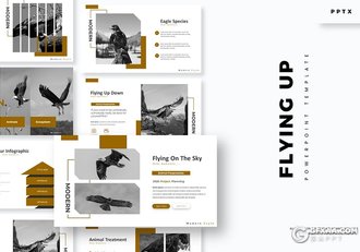 30页金雕老鹰图片展示禽类动物知识介绍PPT模板 - 顶尖PPT