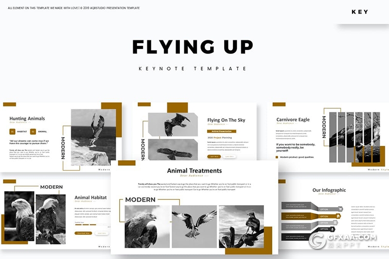 30页金雕老鹰图片展示禽类动物知识介绍keynote模板 - 顶尖PPT