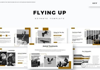 30页金雕老鹰图片展示禽类动物知识介绍keynote模板 - 顶尖PPT