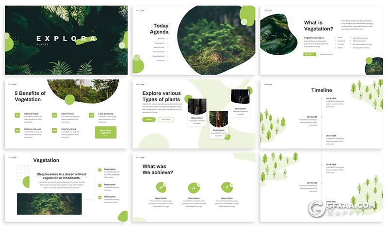 30页环境绿化植被保护森林保护规划PPT模板5种配色 - 顶尖PPT