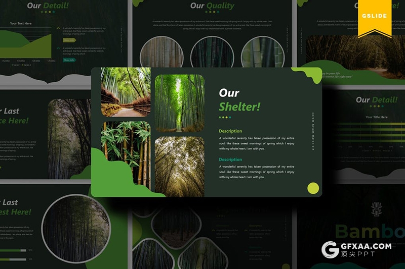 30页原始森林介绍环境绿化植被保护Google slides模板 - 顶尖PPT