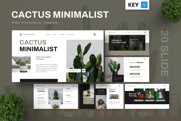 仙人掌极简风格植物主题keynote模板 - 顶尖PPT