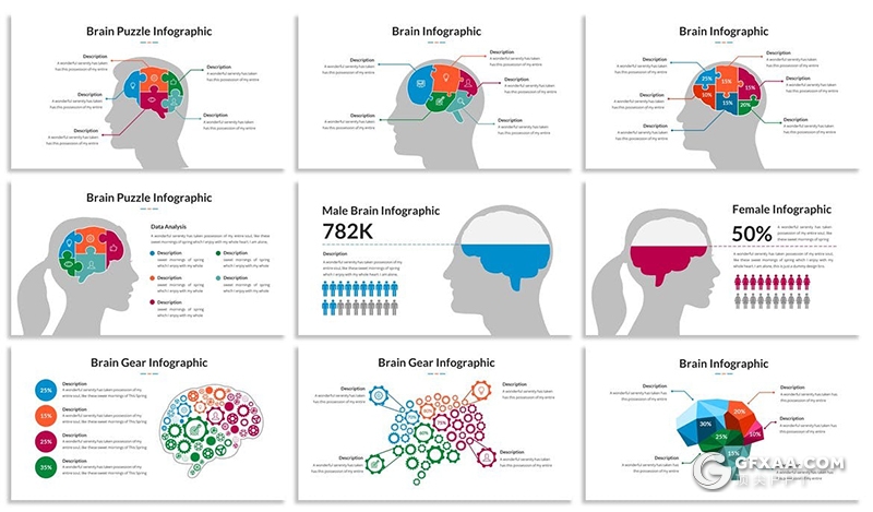 PPT创意大脑信息图形模板 - 顶尖PPT