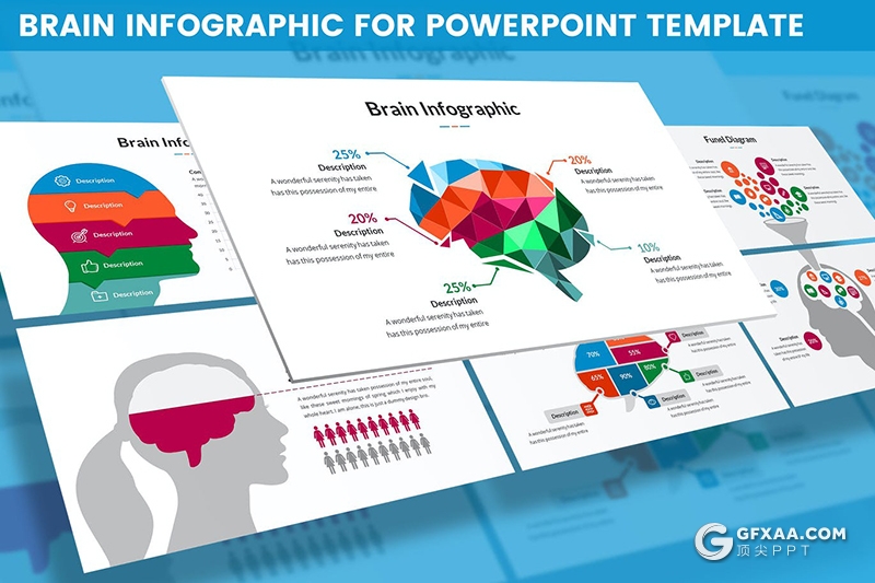 PPT创意大脑信息图形模板 - 顶尖PPT
