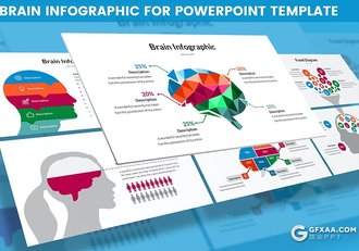 PPT创意大脑信息图形模板 - 顶尖PPT