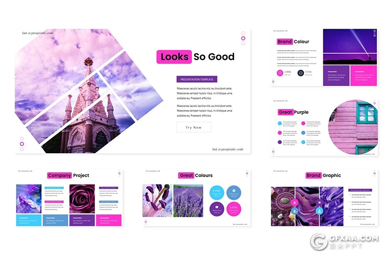 30页花卉植物宣传介绍种类分析PPT模板5种配色 - 顶尖PPT