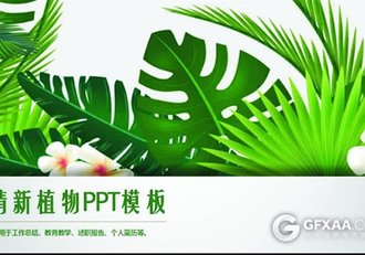 清新文艺植物风格PPT模板 - 顶尖PPT