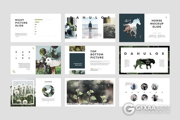 50多页简约创意动物剪影PPT模板 - 顶尖PPT