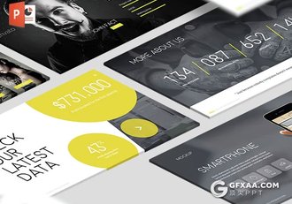 80多页欧美商务总结报告PPT模板5种配色主题 - 顶尖PPT