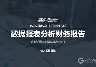 数据报表分析财务报告PPT模板 - 顶尖PPT
