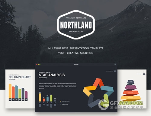 高端数据统计报告汇总PPT模板 - 顶尖PPT