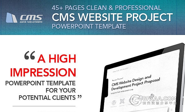 专业CMS网站管理系统市场分析PPT模板 - 顶尖PPT