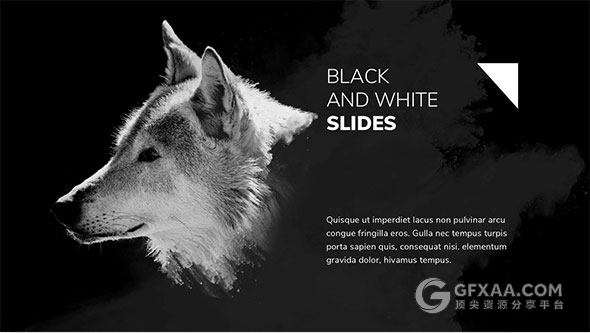 110页黑白极简风格狼性团队PPT模板 - 顶尖PPT