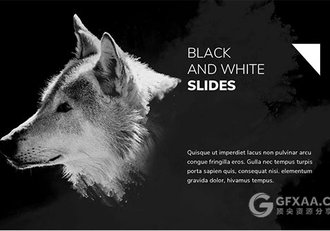 110页黑白极简风格狼性团队PPT模板 - 顶尖PPT