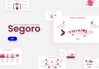 数据分析分部展示信息图形Keynote模板 - 顶尖PPT