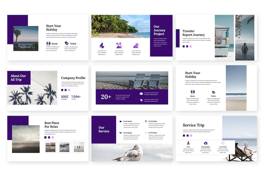 商务项目展示工作方案PPT模板 - 顶尖PPT