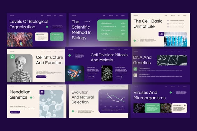 中学大学课堂生物课教学课件PPT模板 - 顶尖PPT