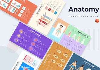 医学人体解剖教学课件信息图PPT模板 - 顶尖PPT