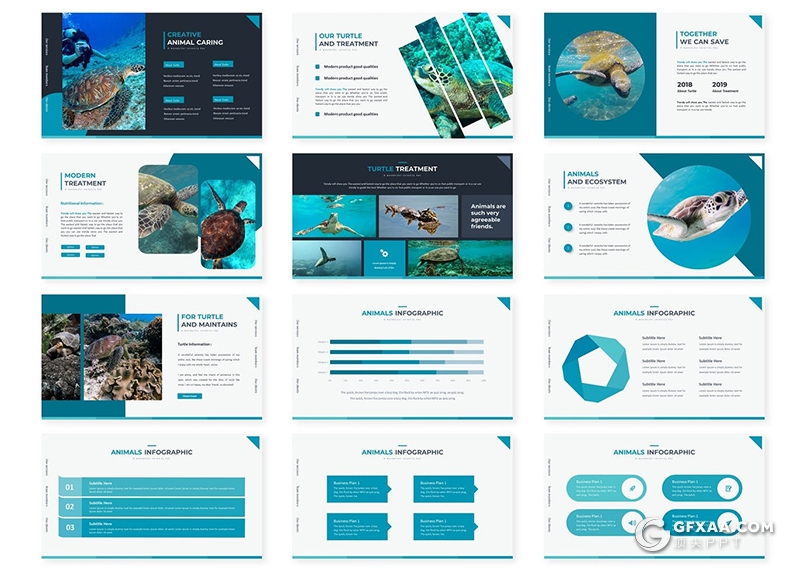 30页扁平化海洋动物海洋生物介绍PPT模板5种配色 - 顶尖PPT