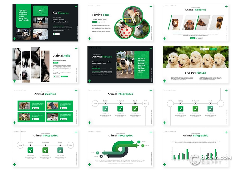 30页宠物行业数据分析调研总结报告PPT模板5种配色 - 顶尖PPT