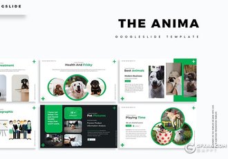 30页宠物行业数据分析调研总结报告Google slides模板5种配色 - 顶尖PPT