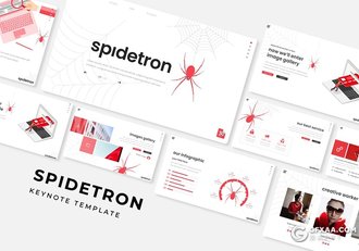 30页蜘蛛侠介绍蜘蛛种类分布数据分析keynote模板5种配色 - 顶尖PPT