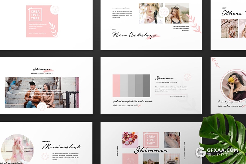 50页小清新时尚品牌主题PPT模板 - 顶尖PPT