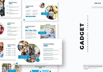 30页国外项目合作企业简介PPT模板5种配色 - 顶尖PPT