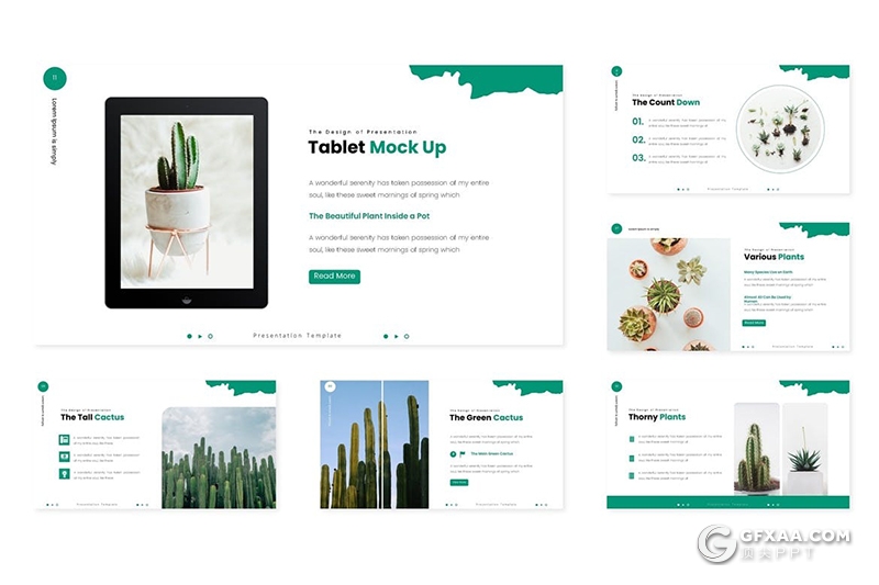 30页绿色植物仙人掌主题PPT模板 - 顶尖PPT