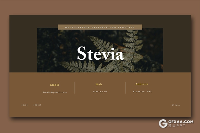 30页棕色复古风时尚国外PPT模板 - 顶尖PPT