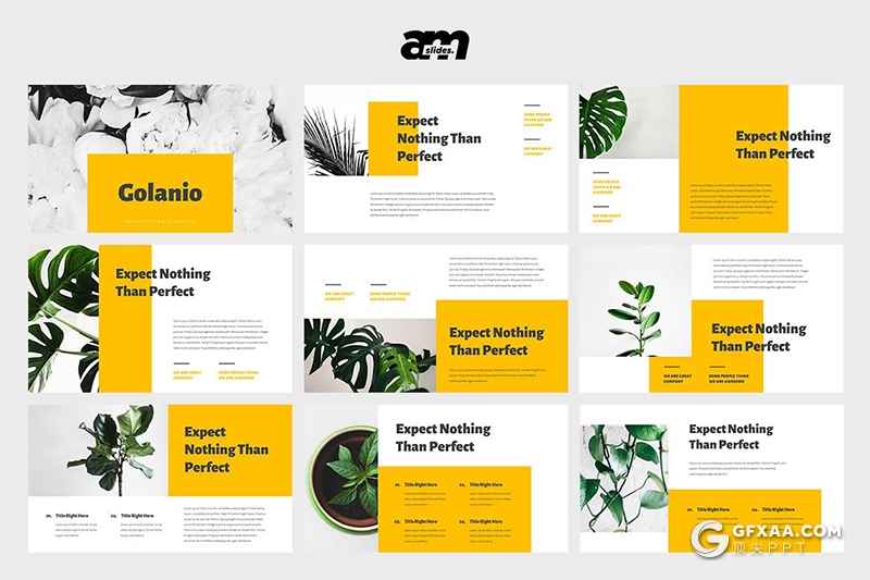 30页国外简约扁平化静态植物展示PPT模板 - 顶尖PPT
