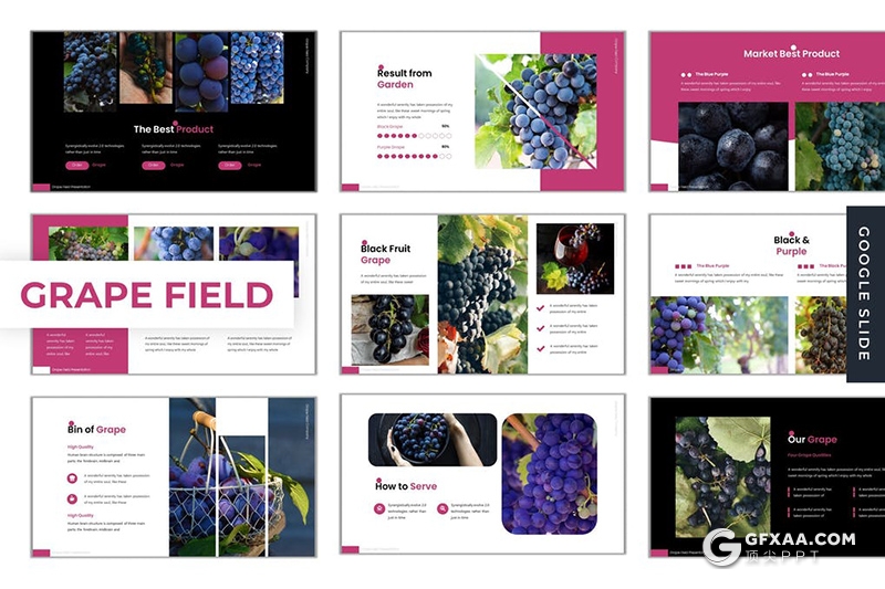 30页水果葡萄品种介绍宣传Google slides模板 - 顶尖PPT