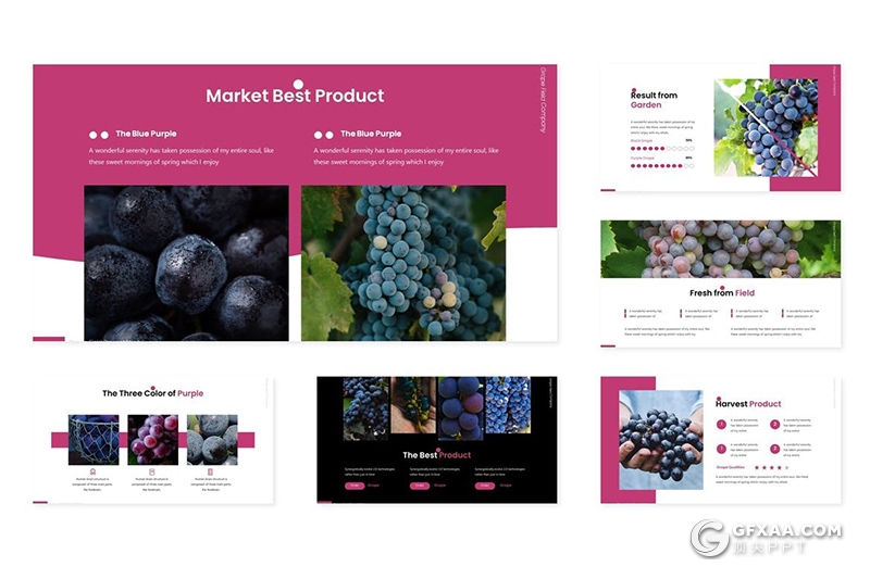 30页水果葡萄品种介绍宣传keynote模板 - 顶尖PPT