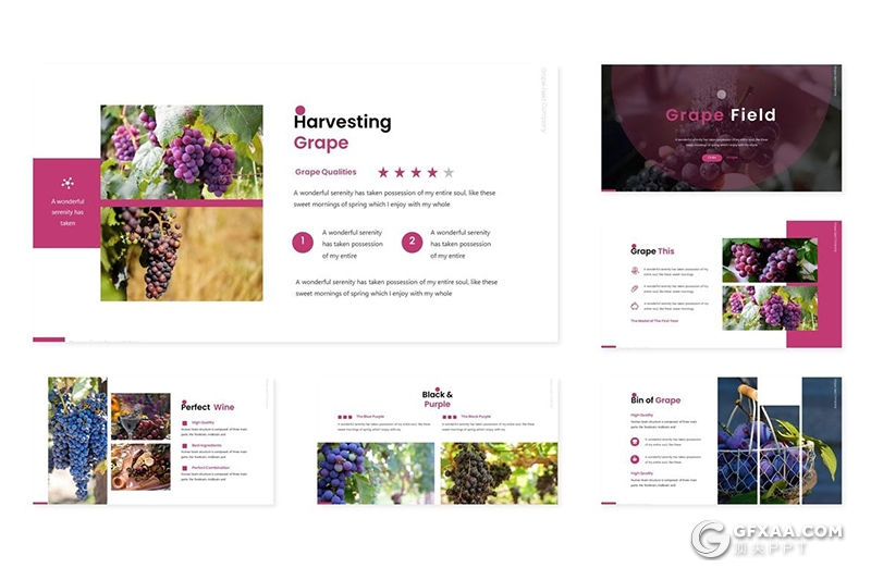 30页水果葡萄品种介绍宣传keynote模板 - 顶尖PPT