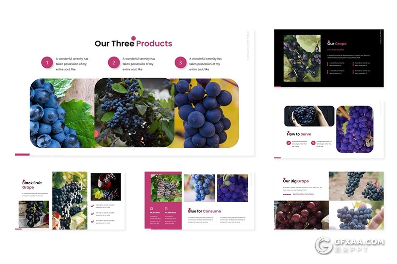 30页水果葡萄品种介绍宣传keynote模板 - 顶尖PPT