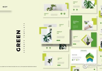30页绿色国外小清新植物系keynote模板 - 顶尖PPT