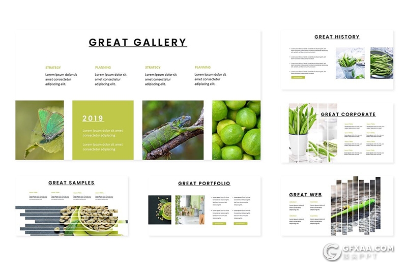 30页国外简约风格水果蔬菜介绍展示keynote模板 - 顶尖PPT