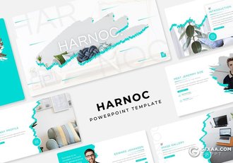 30页水墨笔触效果国外商务PPT模板 - 顶尖PPT