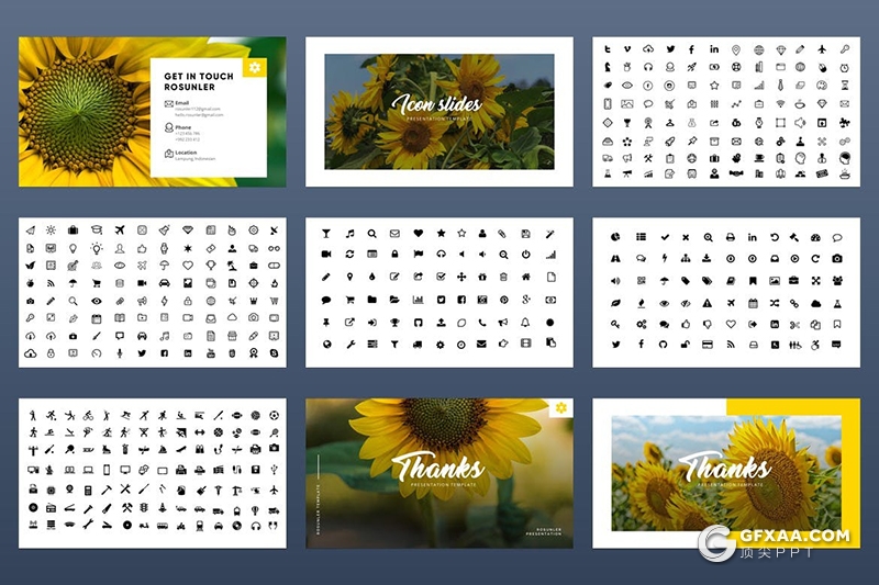 54页极简风格热带主题国外PPT模板 - 顶尖PPT