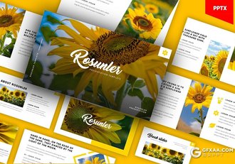 54页极简风格热带主题国外PPT模板 - 顶尖PPT