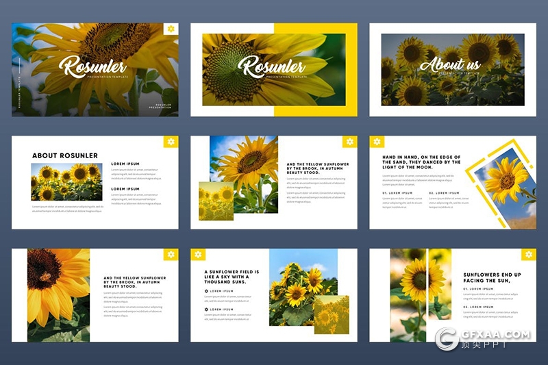 54页极简风格热带主题国外PPT模板 - 顶尖PPT