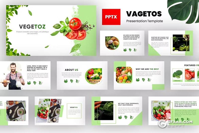 54页健康绿色水果蔬菜食品介绍PPT模板 - 顶尖PPT