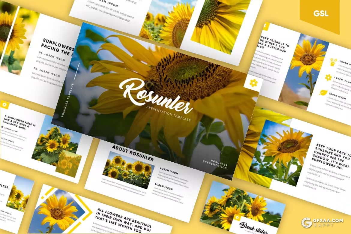 54页摄影图片展示通用PPT模板 - 顶尖PPT