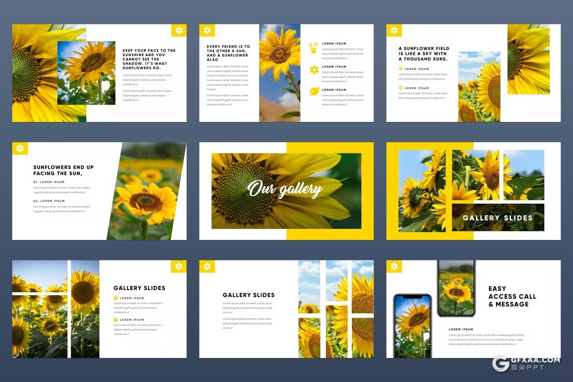 54页摄影图片展示通用PPT模板 - 顶尖PPT