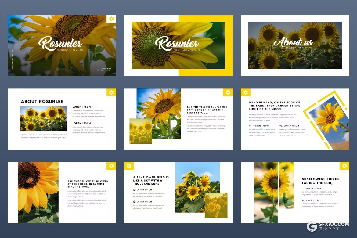 54页摄影图片展示通用PPT模板 - 顶尖PPT