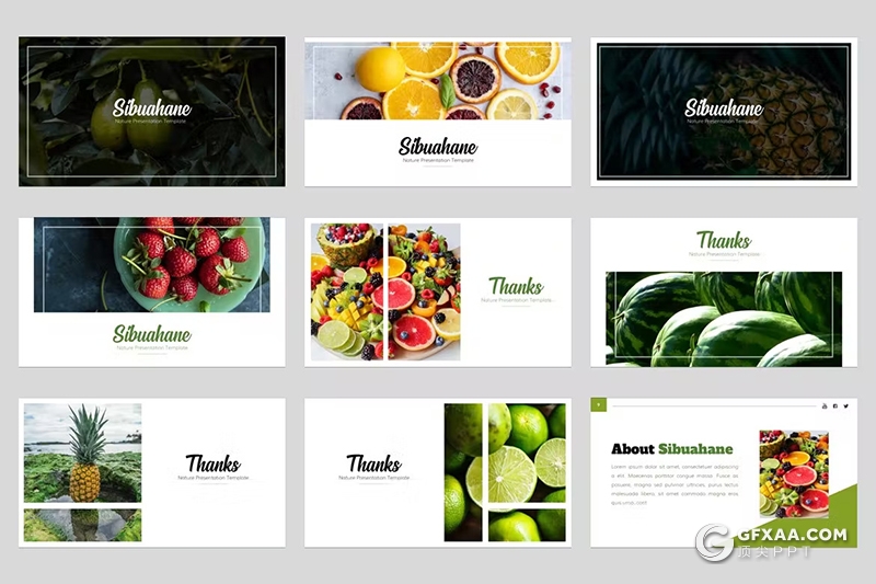53页绿色大气水果摄影图片展示通用PPT模板 - 顶尖PPT