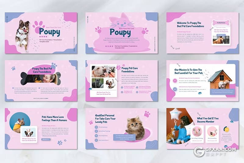 45页宠物护理宠物介绍数据分析调研总结报告PPT模板 - 顶尖PPT