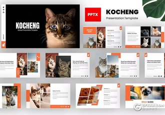 54页黑红色猫咪图片展示动物介绍展示国外PPT模板 - 顶尖PPT